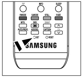 RIP NIO SLEEP RMODE SMODE STILL RSIZE MTS SRS SWAP AUTO PROG. ADD/DEL CAPTION CHI SET RESET SAMSUNG