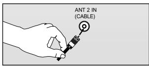 ANT 2 IN (CABLE)