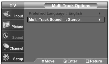 Multi-Track Options Preferred Language : English Multi-Track Sound : Stereo Input Picture Sound Channel Setup Move Enter Return