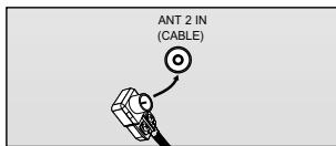 ANT 2 IN (CABLE)