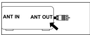 ANT IN ANT OUT