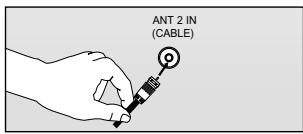 ANT 2 IN (CABLE)
