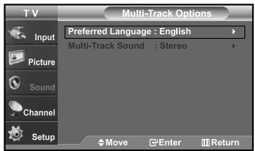 Multi-Track Options Preferred Language : English Multi-Track Sound : Stereo Move Enter Return