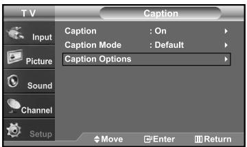 T V Caption Input Picture Sound Channel Setup Caption Caption Mode : On : Default Caption Options Move Enter Return