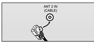 ANT 2 IN (CABLE)