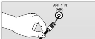 ANT 1 IN (AIR)