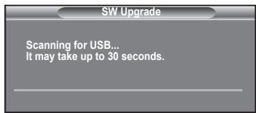 SAMSUNG LN-T1954H - Upgrading the Software - 3