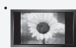 SAMSUNG LN-T1954H - Précautions à prendre lors de l'affichage d'une image fixe - 1