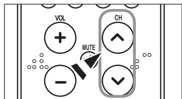 SAMSUNG LN-T1954H - Using the PRE-CH Button to select the Previous Channel - 1