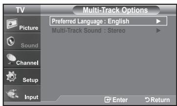 SAMSUNG LN-T1954H - Preferred Language - 2