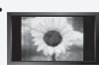 SAMSUNG LN-T1954H - Precautions When Displaying a Still Image - 1