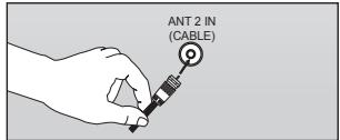 ANT 2 IN (CABLE)
