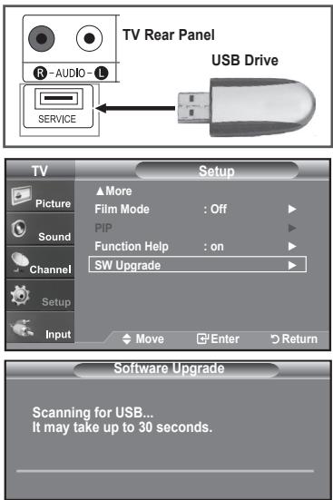 TV Rear Panel R -AUDIO - L SERVICE USB Drive TV Setup ▲More Film Mode : Off ▶ PIP ▶ Function Help : on ▶ SW Upgrade ▶ Picture Sound Channel Setup Input Move Enter Return Software Upgrade Scanning for USB... It may take up to 30 seconds.
