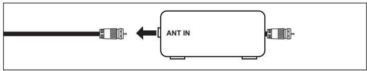 ANT IN