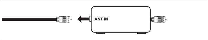 ANT IN