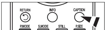 RETURN INFO CAPTION P.MODE S.MODE STILL P.SIZE
