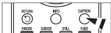 RETURN INFO CAPTION PMODE S.MODE STILL P.SIZE