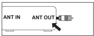ANT IN ANT OUT