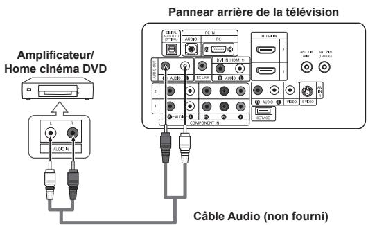 Amplificateur/ Home cinéma DVD Pannear arrêté de la télévision Câble Audio (non fourni)