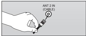ANT 2 IN (CABLE)