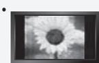 SAMSUNG LN-T3242H - Precautions When Displaying a Still Image - 1