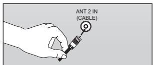 ANT 2 IN (CABLE)