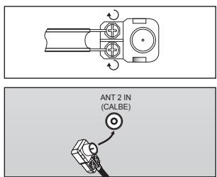 ANT 2 IN (CALBE)