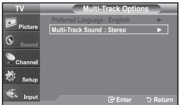 Multi-Track Options Preferred Language : English Multi-Track Sound : Stereo Picture Sound Channel Setup Input Enter Return