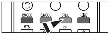 PMODE S.MODE STILL P.SIZE MTS PIP