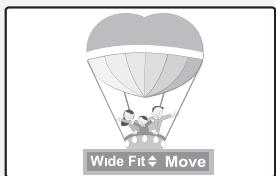 Wide Fit $ Move