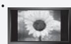SAMSUNG LN-T3242H - Précautions à prendre lors de l'affichage d'une image fixe - 1