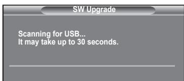 SW Upgrade Scanning for USB... It may take up to 30 seconds.
