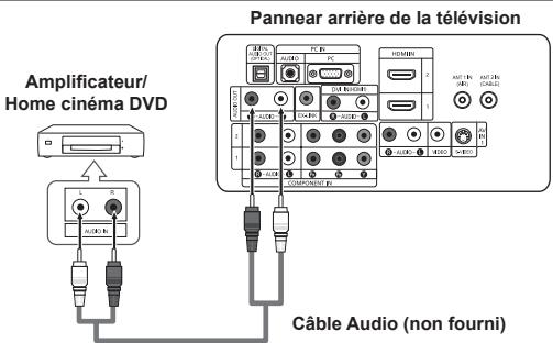 Amplificateur/ Home cinéma DVD Pannear arrière de la télévision Câble Audio (non fourni)