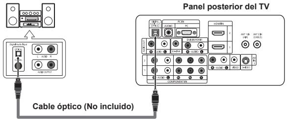 Panel posterior del TV Cable óptico (No incluido)