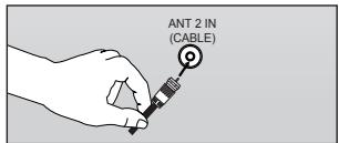 ANT 2 IN (CABLE)
