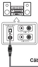 SAMSUNG LN37A450 - Branchement d'un système audio numérique - 1