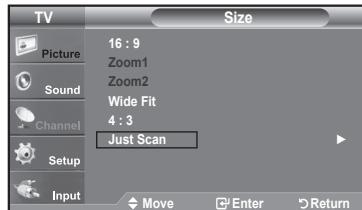 SAMSUNG LN37A450 - Setting the Screen Size - 4