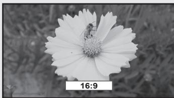SAMSUNG LN37A450 - Réglage du format de l'image - 7