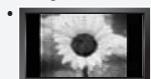 SAMSUNG LN37A450 - Precautions When Displaying a Still Image - 1