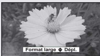 SAMSUNG LN37A450 - Réglage du format de l'image - 10