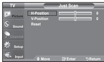 SAMSUNG LN40A450C1D - Setting the Screen Size - 5