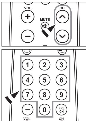 SAMSUNG LN40A450C1D - Utilisation du pavé numérique - 1