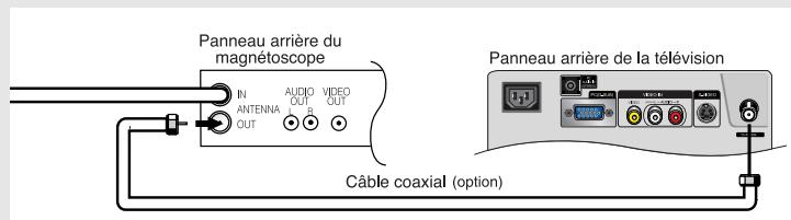 Panneau arrière du magnétoscope IN ANTENNA OUT AUDIO OUT R VIDEO OUT Câble coaxial (option) Panneau arrière de la télévision
