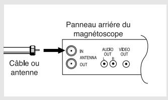 Panneau arrière du magnétoscope Câble ou antenne IN ANTENNA OUT AUDIO OUT VIDEO OUT