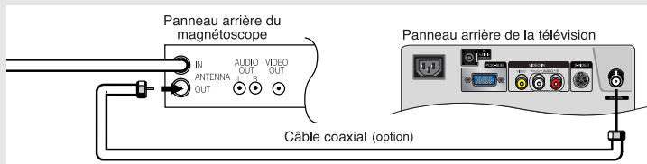 Panneau arrière du magnétoscope IN ANTENNA OUT AUDIO OUT VIDEO OUT B Câble coaxial (option) Panneau arrière de la télévision