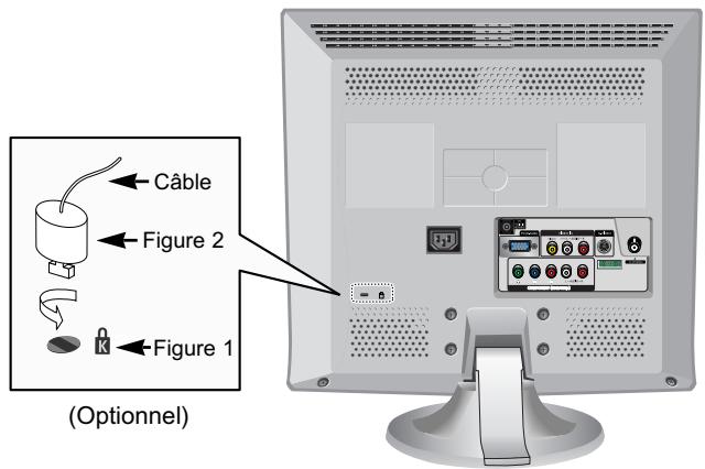 Câble Figure 2 Figure 1 (Optionnel)