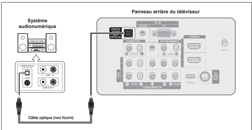SAMSUNG PN42A450 - Branchement s-Video - 2