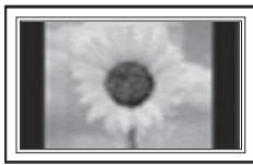 SAMSUNG PN42A450 - A still image displayed too long may cause permanent damage to the PDP Panel. - 1