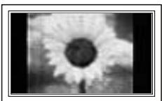 SAMSUNG PPM42M7HBP - A still image displayed too long may cause permanent damage to the PDP Display Panel - 1