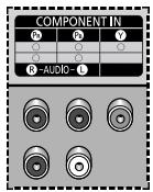SAMSUNG PPM42M7HBP - Connecting to the DVD/DTV Receiver Input - 1